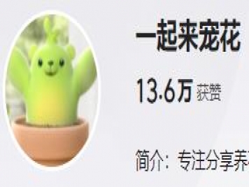 養花自媒體：一起來(lái)寵花