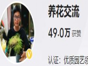 養花自媒體：養花交流