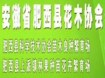 安徽省肥西縣花木協(xié)會(huì )