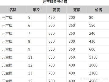 元寶楓的價(jià)格一路上漲，大規格優(yōu)質(zhì)苗一株能賣(mài)上萬(wàn)元