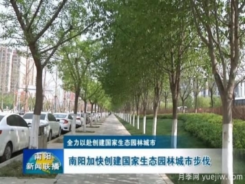 已種月季103萬(wàn)多株，南陽(yáng)加快創(chuàng  )建國家生態(tài)園林城市步伐