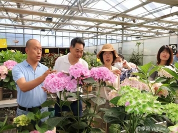 陜西省花卉產(chǎn)業(yè)創(chuàng  )新發(fā)展論壇舉行，培育陜花地域品牌