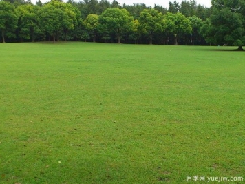 春夏過(guò)渡季節混播草坪的養護