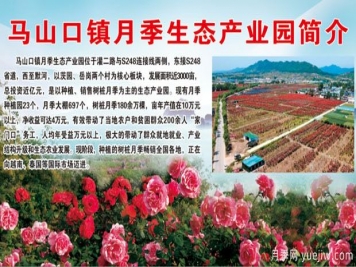 南陽(yáng)內鄉馬山口鎮月季生態(tài)產(chǎn)業(yè)園簡(jiǎn)介
