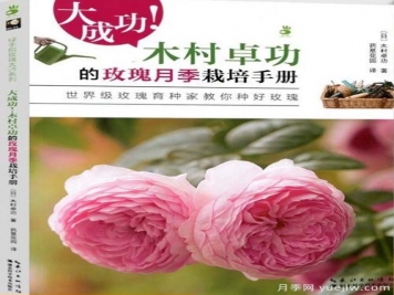 月季圖書(shū)：木村卓功《大成功！木村卓功的玫瑰月季栽培手冊 》