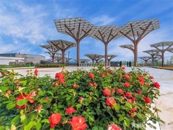 南陽(yáng)世界月季大觀(guān)園成為國家4A級旅游景區