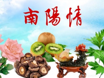 2023年農村致富10大暴利行業(yè)