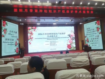 國際月季育種和知識產(chǎn)權保護座談會(huì )在南陽(yáng)舉辦