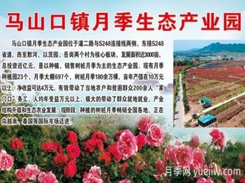 花木產(chǎn)地：南陽(yáng)市馬山口鎮