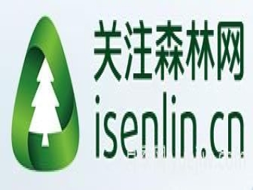 月季選苗時(shí)，要注意哪些事項？