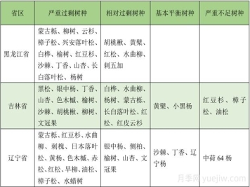 2025年?yáng)|北地區苗木供需分析
