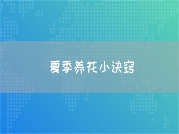 夏季養花小訣竅