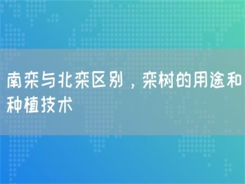 南欒與北欒區別，欒樹(shù)的用途和種植技術(shù) 