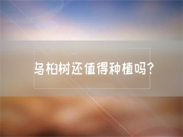 烏桕樹(shù)還值得種植嗎？