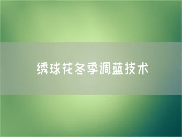繡球花冬季調藍技術(shù)