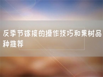 反季節嫁接的操作技巧和果樹(shù)品種推薦