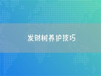 發(fā)財樹(shù)養護技巧