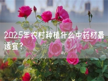 2025年農村種植什么中藥材最適宜？