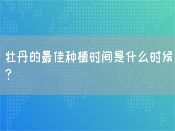 牡丹的最佳種植時(shí)間是什么時(shí)候？