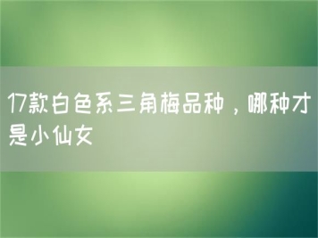 17款白色系三角梅品種，哪種才是小仙女