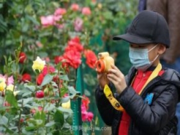 2185萬(wàn)株市花月季盛開(kāi)！請叫鄭州“月季花城”
