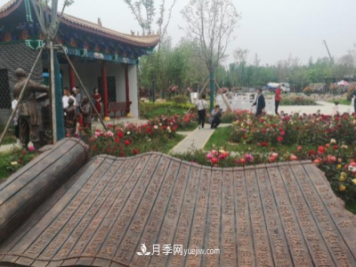 南陽(yáng)世界月季大觀(guān)園社旗展園