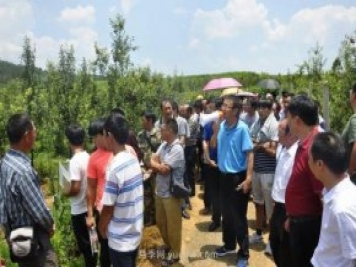 什么是新農人，和傳統農民有什么區別