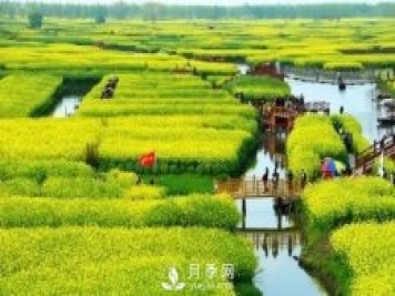 133萬(wàn)公頃！中國苗木花卉產(chǎn)量世界第一！