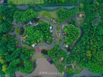 他把歐洲玫瑰莊園搬到中國，培育出樹(shù)上開(kāi)月季的奇特景觀(guān)