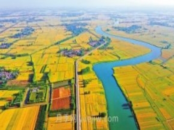 駐馬店農業(yè)：國際農都氣如虹