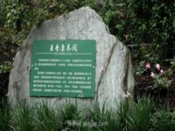 成都植物園也有月季園了，超美盛花期來(lái)啦