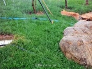 園林常用的4種節水灌溉技術(shù)