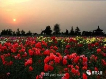 南陽(yáng)自然條件卓越，產(chǎn)業(yè)發(fā)展迅速，獨享“世界月季名城”稱(chēng)號