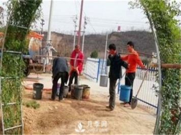 渭南引進(jìn)南陽(yáng)月季，強勢打造馬趵泉景區景觀(guān)美化帶