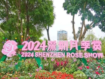 五園聯(lián)動(dòng)，2024深圳月季賞浪漫進(jìn)行中