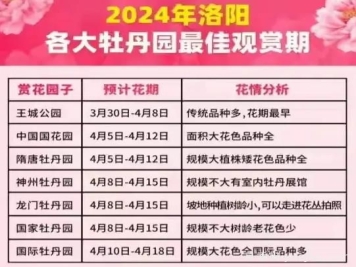 2024年洛陽(yáng)牡丹絢爛綻放，誰(shuí)與爭鋒？