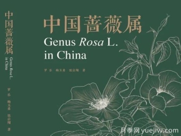 月季圖書(shū)：《中國薔薇屬》