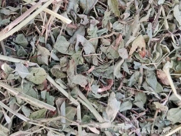 2024年南陽(yáng)優(yōu)質(zhì)花生秧草粉開(kāi)始供應