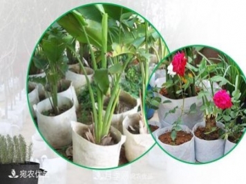 南陽(yáng)月季苗木花卉美植袋植樹(shù)袋廠(chǎng)家批發(fā)價(jià)
