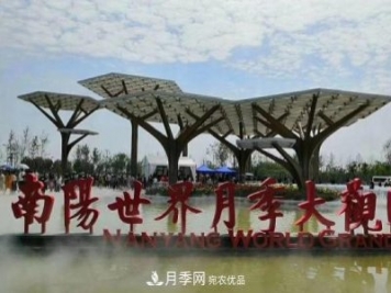 南陽(yáng)世界月季大觀(guān)園：只愛(ài)園中月季美，不羨他鄉百花艷