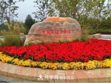 北京京宛友誼月季園，紀念南水北調南陽(yáng)深厚友誼