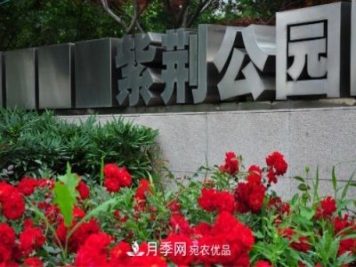 常州紫荊公園走紅，被稱(chēng)世界月季名園，免門(mén)票創(chuàng  )記錄