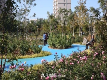 北京密云城區廢棄廠(chǎng)房變身月季公園