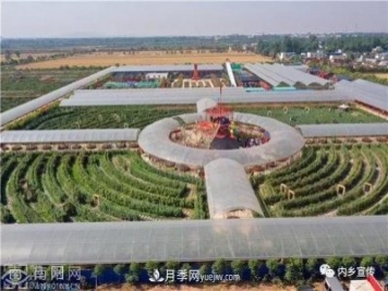 游玩好去處！內鄉縣灌漲鎮歐月花海風(fēng)情園盛妝開(kāi)園
