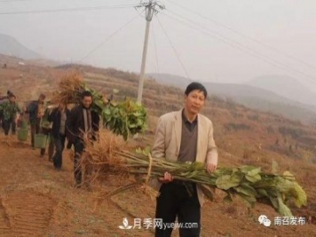 南召縣邱峰：玉蘭苗木脫貧攻堅戰場(chǎng)上“最可愛(ài)的人”