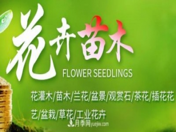 廣西花卉協(xié)會(huì )介紹