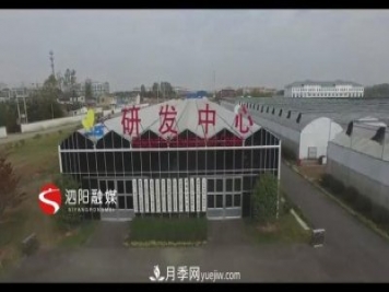 江蘇泗陽(yáng)新境界花卉基地：“花樣”產(chǎn)業(yè)助力鄉村振興