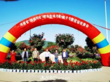 河南省四優(yōu)四化項目 助推南陽(yáng)月季、梔子產(chǎn)業(yè)發(fā)展