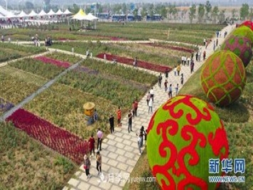 回顧記錄，中國月季展覽會(huì )花開(kāi)阜陽(yáng)