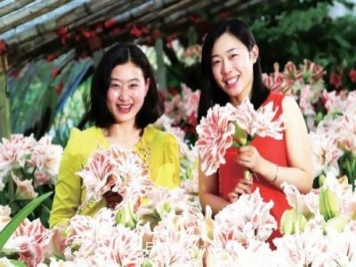 江蘇連云港崗埠農場(chǎng) 小康路上花正艷